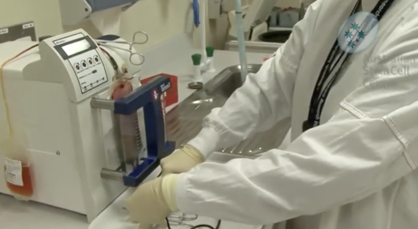 nscfa_cord-blood-banking-uses.png