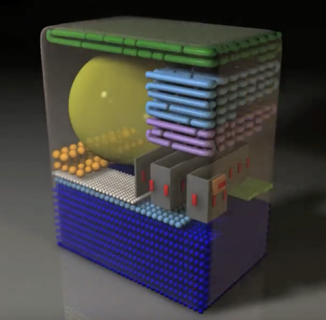 Johnson_complex 3D structure.png