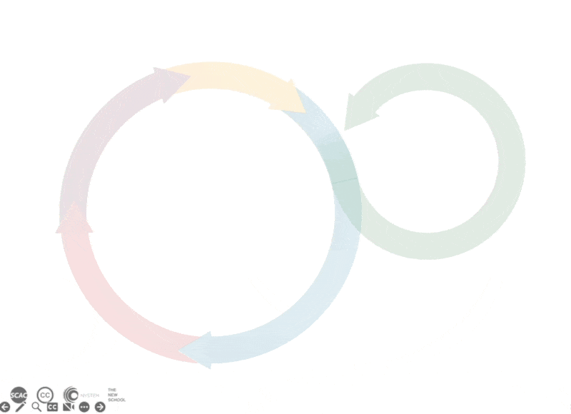cell cycle_checkpts.gif
