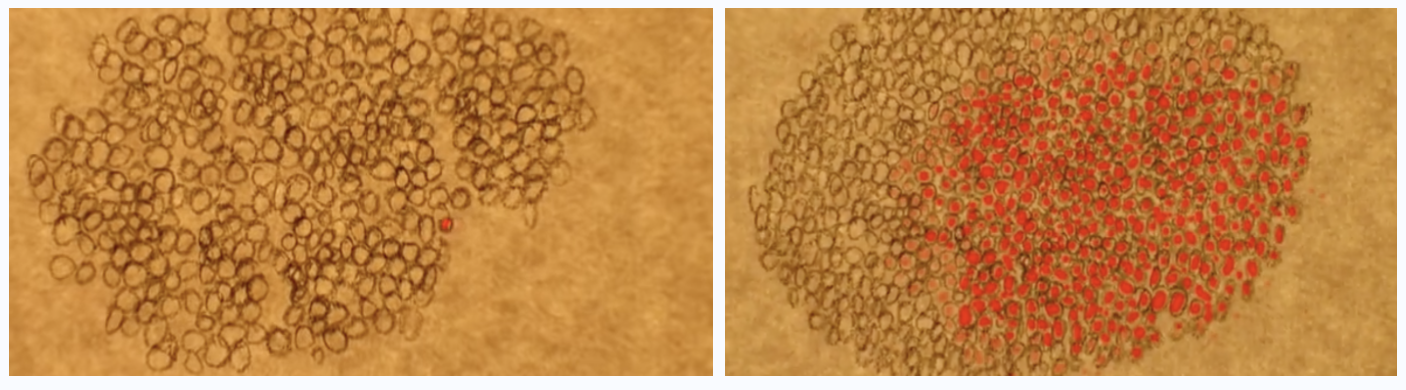 vid_eurostemcell-cellculture-contamination.png