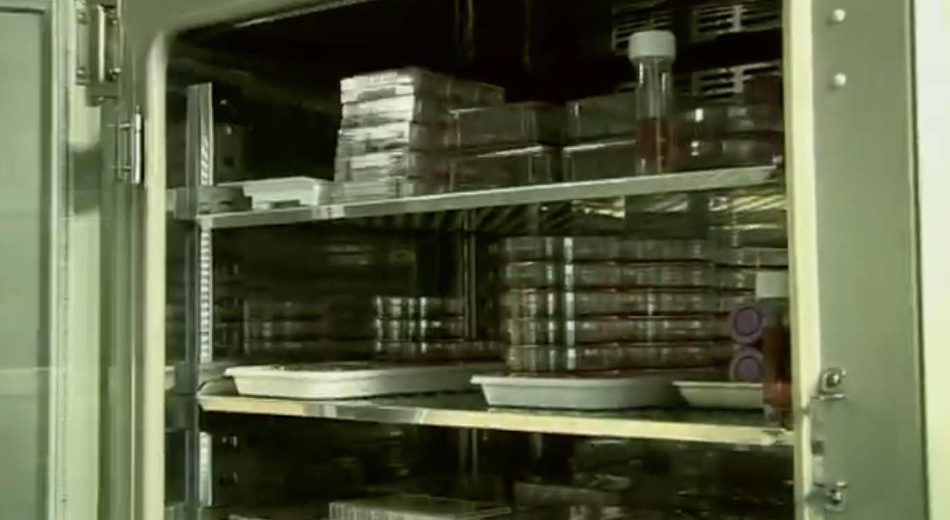 vid_eurostemcell-cellculture-labenv.png