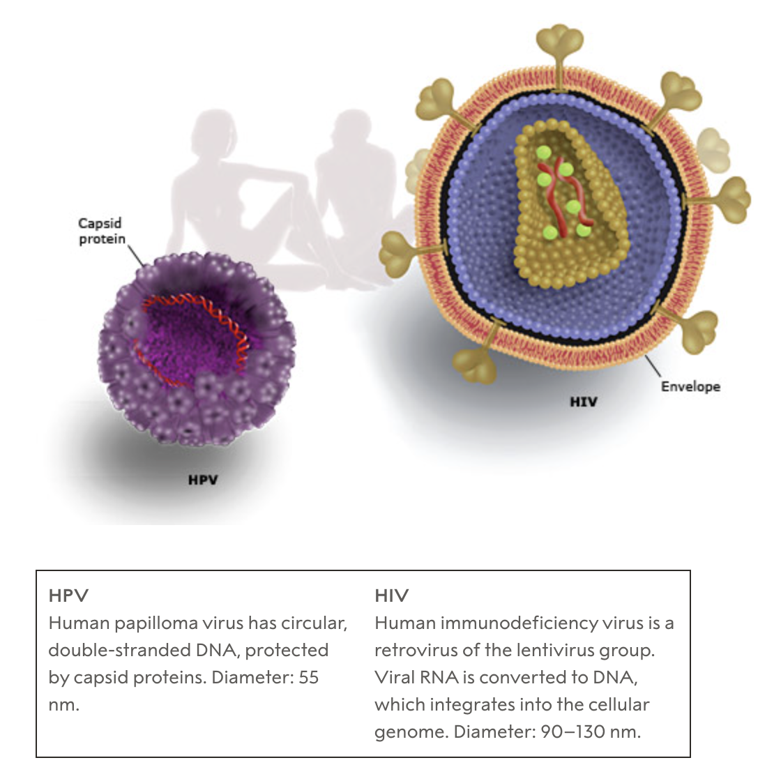presentation_nobel-prize-physiology-medicine.png